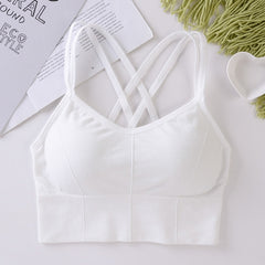 Seamless Anti-sweat Shockproof Padded Breathable Sports Bra