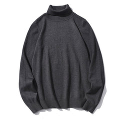 Fashion New Autumn Winter Warm Turtleneck Sweater Casual Comfortable