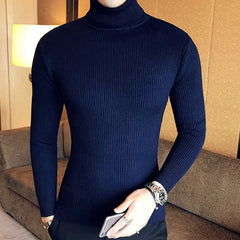 High Neck Thick Warm Sweater Mens Sweaters Slim Fit Pullover