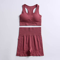 Stretch Breathable Yoga Top Leggings Women Sport Fitness