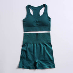 Stretch Breathable Yoga Top Leggings Women Sport Fitness