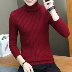 Warm Turtleneck Sweater Men Pull Homme Casual Pullover