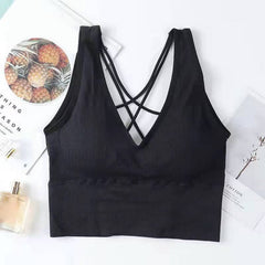 Seamless Anti-sweat Shockproof Padded Breathable Sports Bra