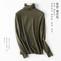 Women Sweater Turtleneck Slim Warm Pullovers Basic Knitted Tops