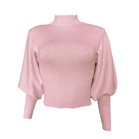Turtleneck Woman Sweaters Fall Long Sleeve Knitted Sweaters