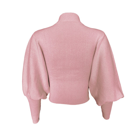 Turtleneck Woman Sweaters Fall Long Sleeve Knitted Sweaters